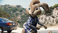 Kino Światowid: Hop