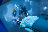 W kinie Światowid „Klucz do wieczności”