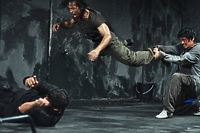 Raid w kinie Światowid