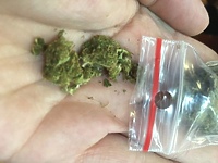 Miał przy sobie woreczek z marihuaną