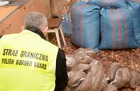 Miała być pasza, a jest tytoń