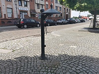 Śmieci i poniszczone kosze na elbląskiej starówce