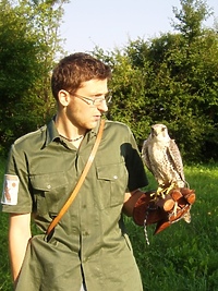 Leśnik z sokołem
