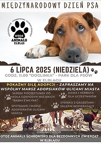 Międzynarodowy Dzień Psa w Doglince
