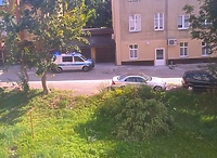 Czytelniczka: samowolnie wyciął drzewo na osiedlu, wezwaliśmy policję