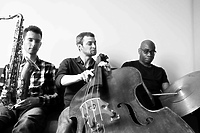 Mike Parker's Trio Theory - jazz w Mjazzdze