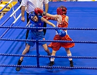 Mikołajkowo w ringu