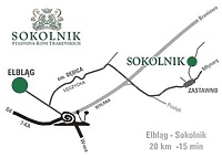 Mistrzostwa w Sokolniku