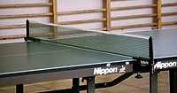 Mlexer gra o mistrzostwo (tenis stołowy)