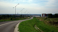 Modrzewina nie kusi