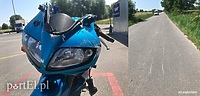 Dzik nie przeżył, motocyklistka leczy uraz nogi