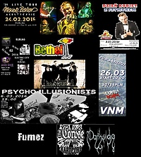 Muzycznie, śmiesznie, magicznie. Budzimy wiosnę z Sąsiadami