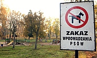 Na placach zabaw – czy jest bezpiecznie?