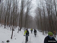 Na rowerach do Pagórek