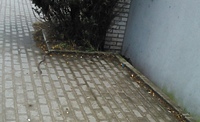 Czystość i porządek?
