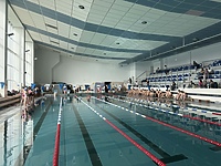 Najlepsi szkolni pływacy w Elblągu