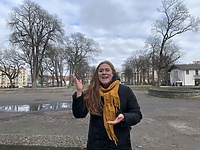 Nareszcie weekend: Noc Sów, sprzątanie lasu i koncerty