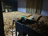 Narkotyki i nielegalny tytoń pod Elblągiem warte prawie 1,5 mln zł