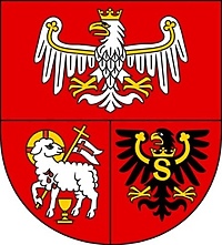 Nowe inwestycje