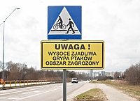 Elbląg. Większa strefa zakażenia ptasią grypą
