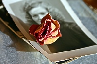 Opowiem ci swoją historię