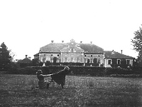 Historia okolic Elbląga: Bałoszyce i Januszewo  (odc. 199)