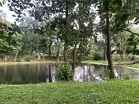 Zielone zakątki okolic Pruszcza  (Na spacer z portEl.pl, odc. 16)