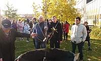 Z Kamionka do krainy Wikingów