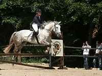 Piastowiada ‘2009 (jeździectwo)