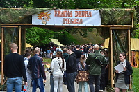 Piegowaty harcerz powrócił