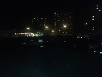 Plaga egipska