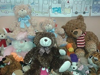 Podaruj misia w SP 21