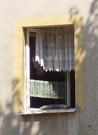 Poduszkowce