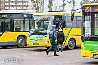 Połowa miejskich autobusów w wersji midi  (aktualizacja)