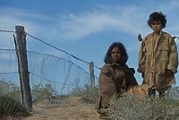 Polowanie na króliki