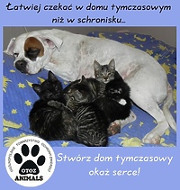 Pomóż zwierzakom