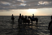 Pony Cup już wkrótce w Stajni Lipnik