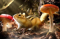 Poranki w Multikinie: „Mali giganci”