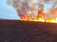 Pożar trzcinowiska oraz samochodu ciężarowego