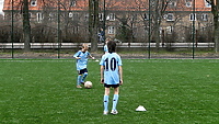 Orliki tętnią życiem