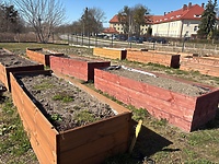 Zasiej, pielęgnuj, a potem ciesz się plonami