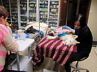 Psy trafiły do „Psiego Raju”, opiekun do policyjnego aresztu