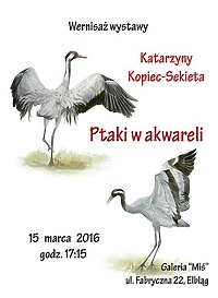 Ptasie akwarele na Fabrycznej