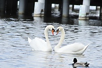 Walenty i do tego święty