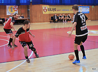 Punkt od mistrzostwa ELH