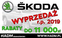 Rabaty do 11 000 na auta  z rocznika 2019!