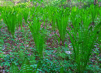 Razem dla ochrony przyrody