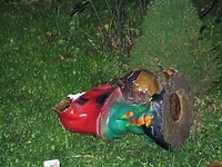 Rozbił ogrodowego krasnala