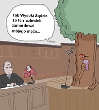 Przed sąd za ścięcie drzewa