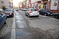 Ser szwajcarski w centrum miasta